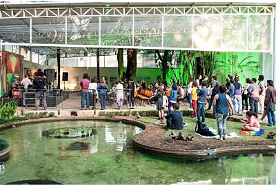 Curso gratuito de apreciação musical