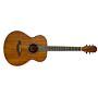 Violao Conc Aco Eletrico Sapele Open Pore GFM100E NS BENSON 1