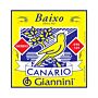 Encordoamento Baixo 5 Cordas 040-125 Giannini Canário GESBX5 1