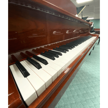 GP160 Pearl River Baby Grand Piano Cauda - 160cm Grained Mahogany com Banqueta| Teclacenter