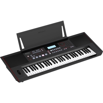Roland E-X50 Teclado Arranjador