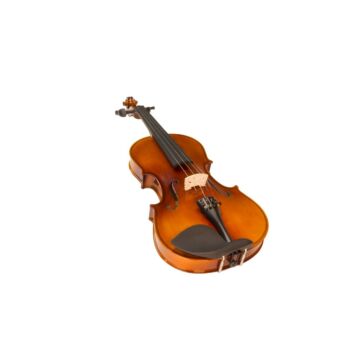 Violino Benson Ruggeri BVR301 - Madeira Spruce e Linden