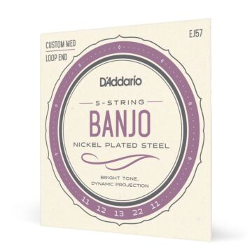 Encordoamento Para Banjo 5C D Addario Nickel Plated EJ57 1