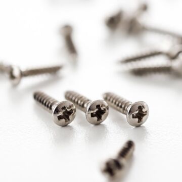 Parafuso Escudo Niquelado WO2.9 4x13-NI (24 Unidades) Spirit 1