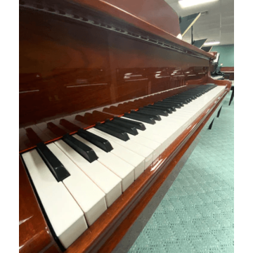 GP160 Pearl River Baby Grand Piano Cauda - 160cm Grained Mahogany com Banqueta| Teclacenter