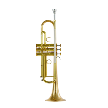 Trompete Der Loewe DLTR-210