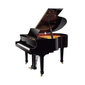 GP150SP Pearl River Baby Grand Piano Cauda com Banqueta| Teclacenter