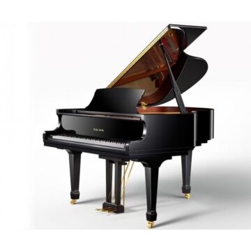 Pearl River é uma linha de instrumentos finos que produz o que há de mais moderno em timbre rico e toque responsivo. Ao combinar materiais com um reconhecido design e conhecimento tecnológico, o Pearl River Grand Piano P9 é um dos melhores pianos “baby gr