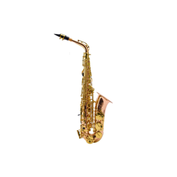 Saxofone Alto Der Loewe DLAS-140
